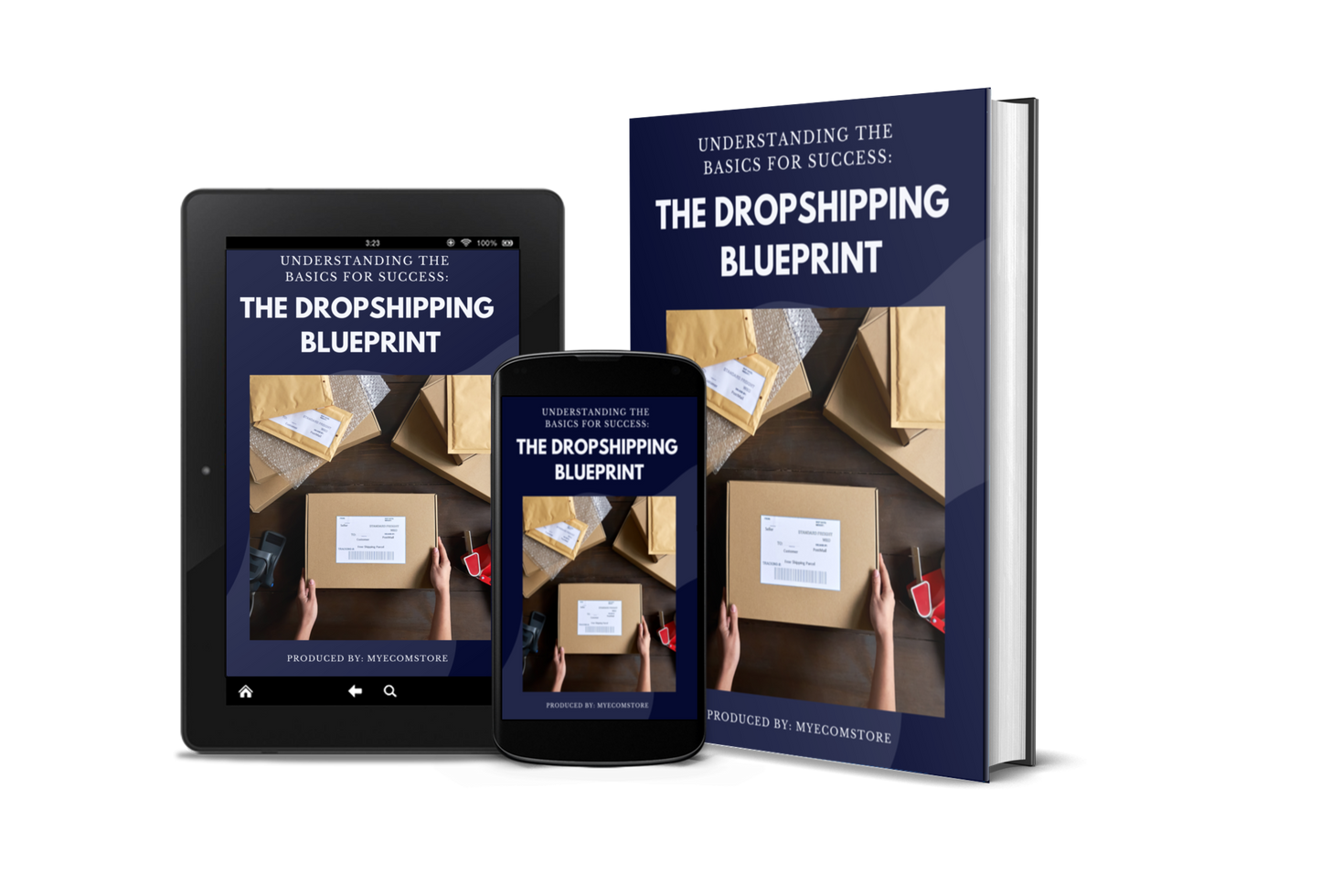 The Dropshipping Blueprint: Understanding The Basics For Success© [E-BOOK]